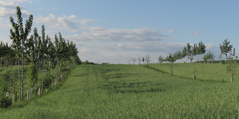 GH1 at Gladbacherhof in evening light