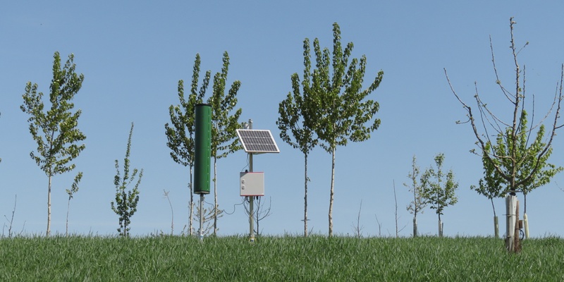 Cosmic Ray Neutron Sensing in the alley cropping system GH1