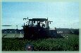 traktor
