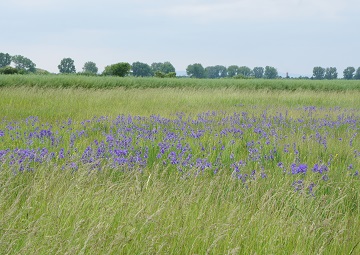 Stromtal.JPG