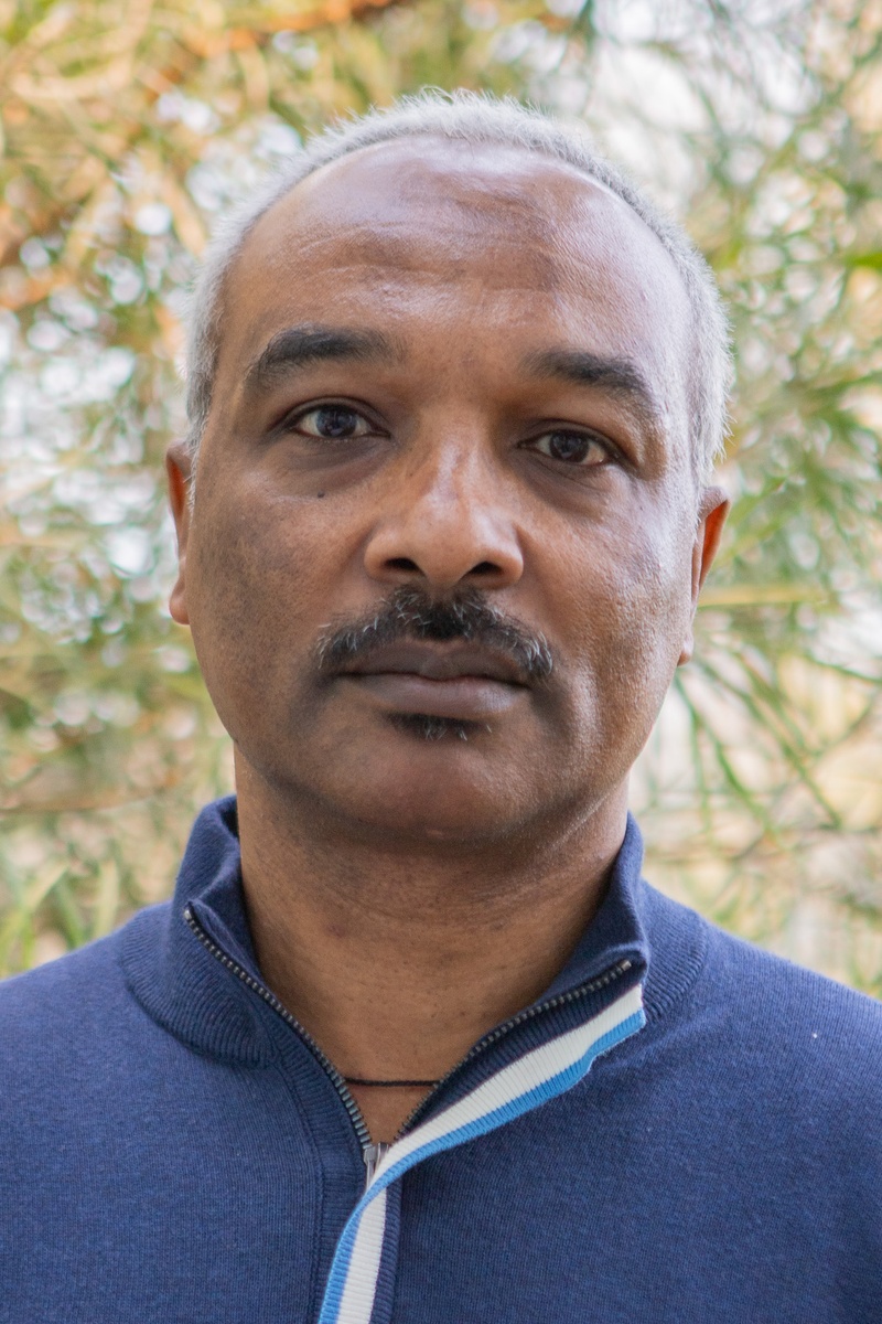 solomon_webres-2.jpg