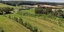 Agroforst gladbacher hof luftaufnahme GH3 mais (27).jpg