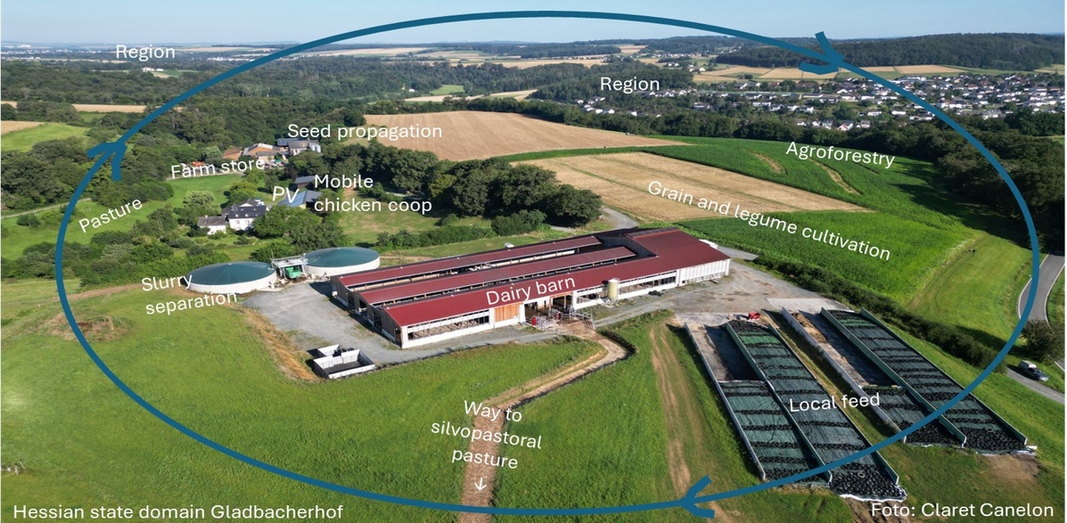 zirkuh-gladbacherhof-luftbild-kreis-en_72.jpg