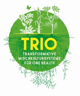 trio_logo.png