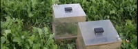 bild4-1013.jpg