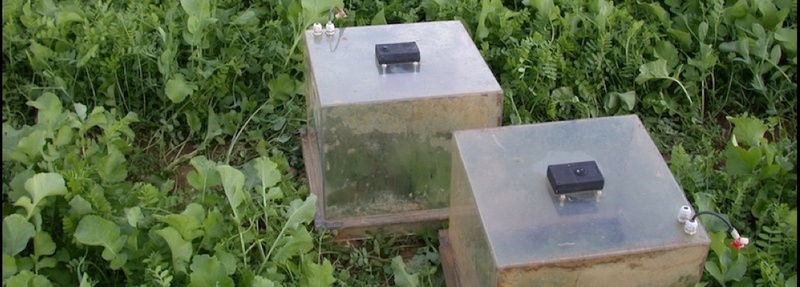 bild4-1013.jpg