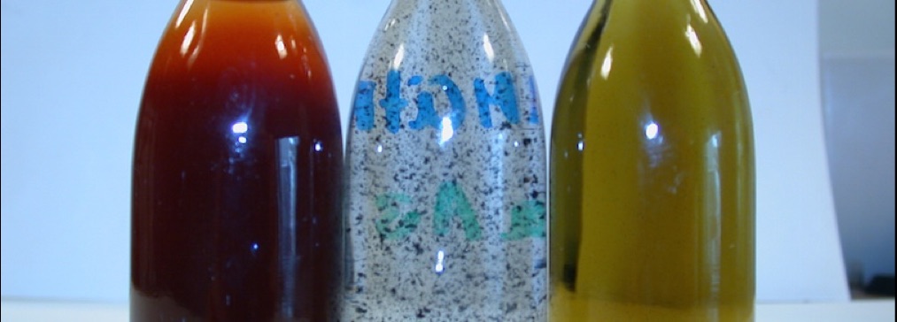 bild10-1013.jpg