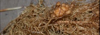 bild11-1013.jpg