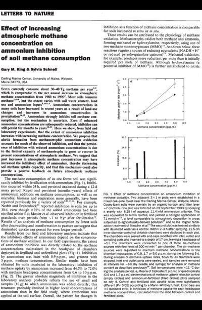 Methane Oxidatioin Ammonium Inhibition 1994