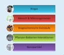 Thesis Subjects