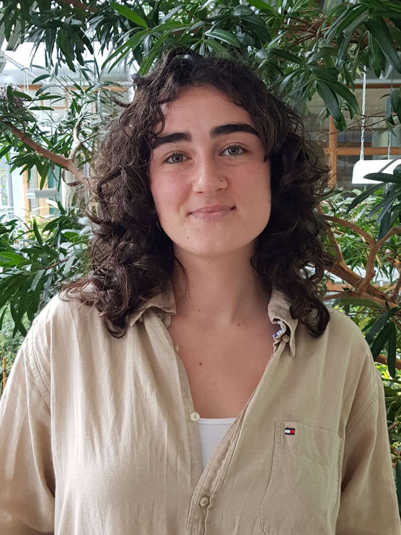 Deniz Erkan