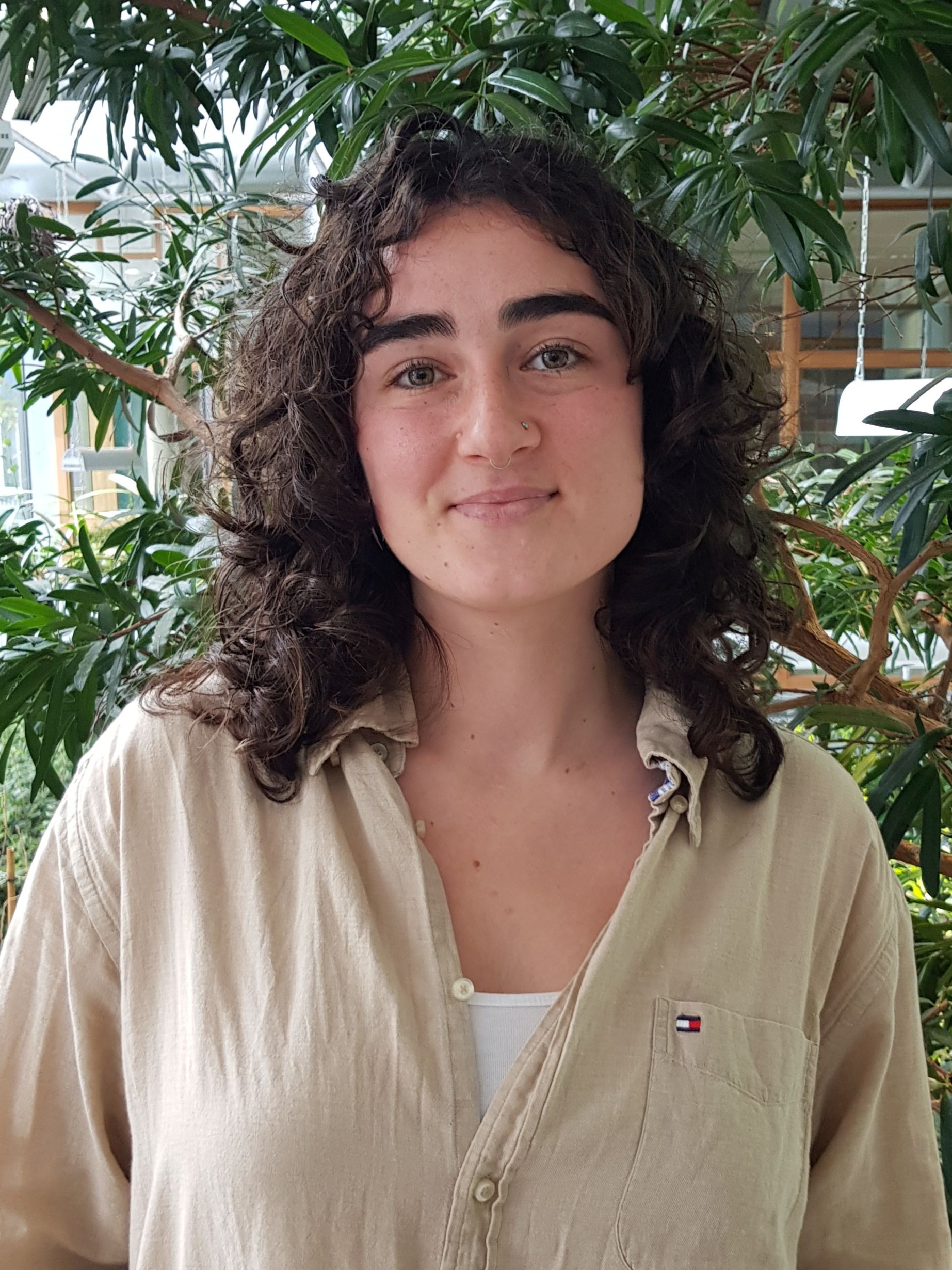 Deniz Erkan