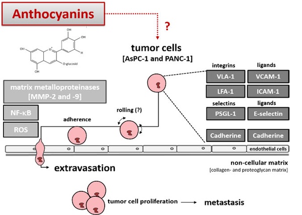 Figure1