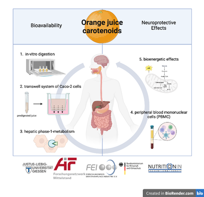 Improving bioavailability of carotonoids from orange juice