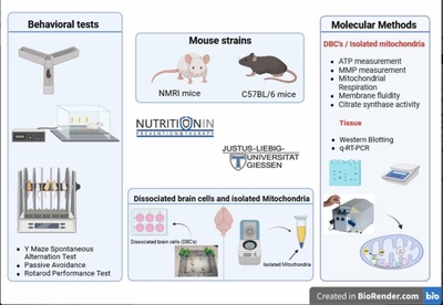Methods to investigate polyphenols and metabolites