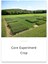 Core Experiment Crop