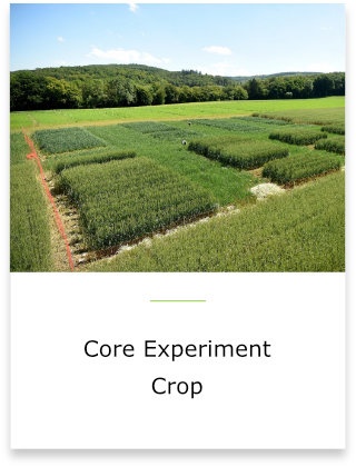 Core Experiment Crop