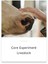 Core Experiment Livestock