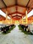 You can see cows in the new stables of the Gladbacher Hof (large scale)