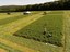 You can see Measurements on alfalfa at Pfaffengraben (large scale)