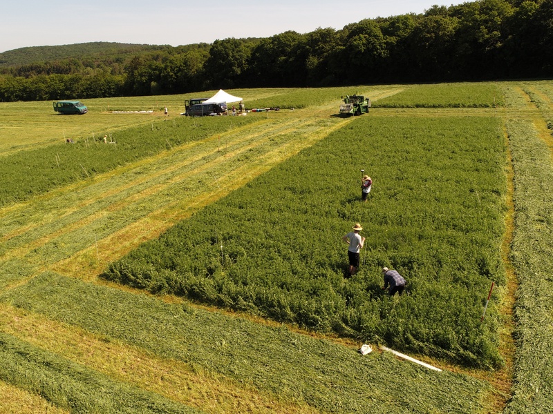 You can see Measurements on alfalfa at Pfaffengraben (large scale)