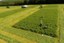 You can see the Measurement of alfalfa at Pfaffengraben - Click on the image to enlarge it.