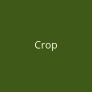 click here to get forwared to the project area 'crop'