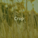 click here to get forwared to the project area 'crop' (hover)