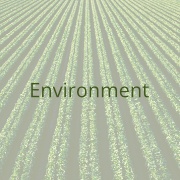 click here to get forwared to the project area 'environment' (hover)