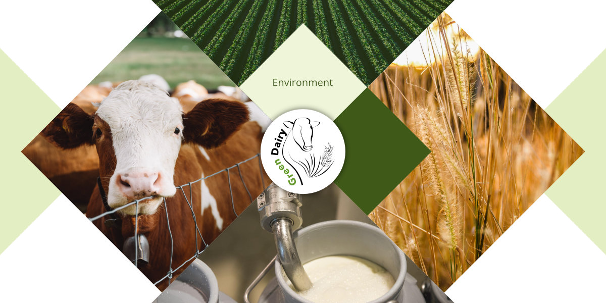 (4) The Project is composed of five Project Areas. Livestock, Environment, Crop, Integrated System Analysis and Management and Coordination.