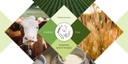 (9) The Project is composed of five Project Areas. Livestock, Environment, Crop, Integrated System Analysis and Management and Coordination.
