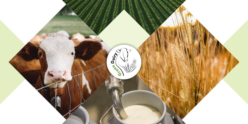 (2) The Project is composed of five Project Areas. Livestock, Environment, Crop, Integrated System Analysis and Management and Coordination.