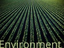 Environment
