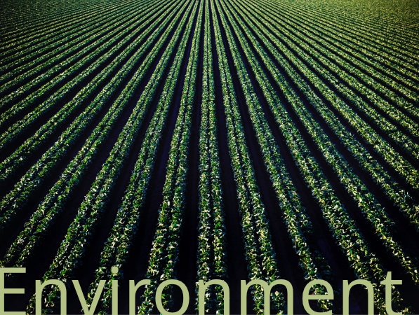 Environment