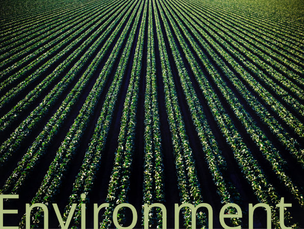 Environment