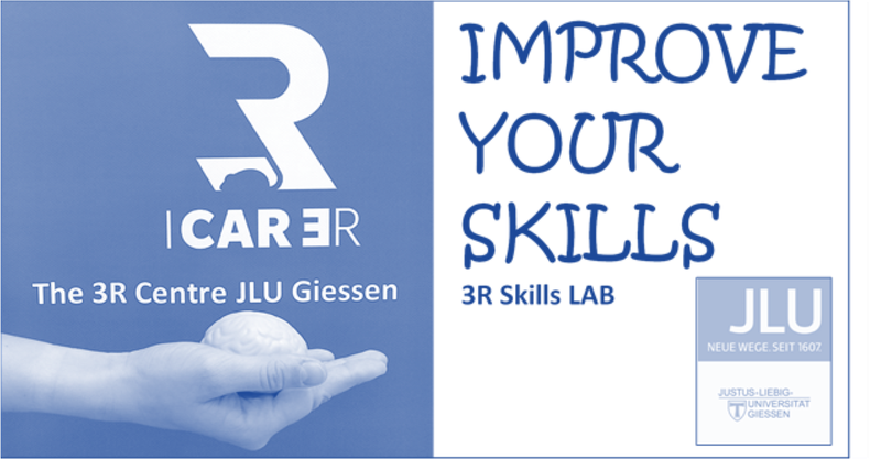 Skills-blau.png