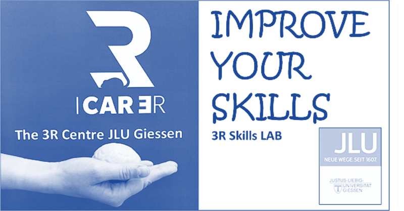 Skills-blau2.png