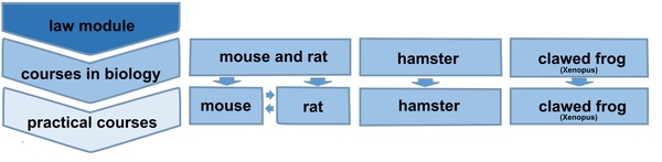 schema.bmp