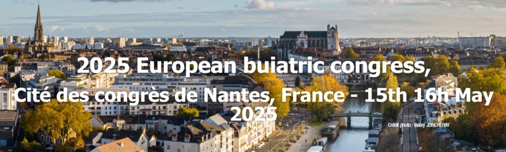 Nantes klein.jpg
