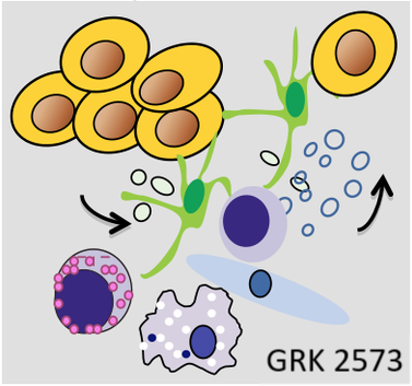 grk2573.png