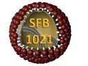 sfb1021.jpg