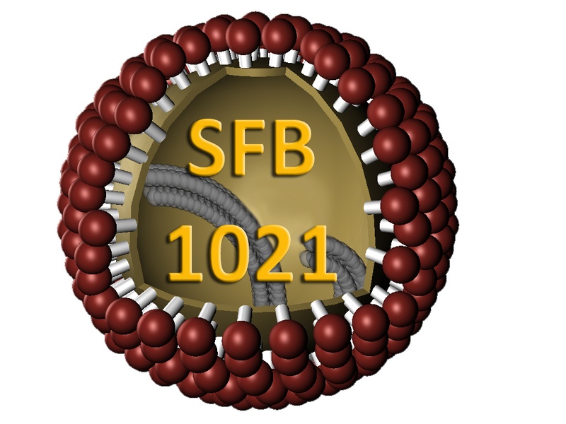 sfb1021.jpg