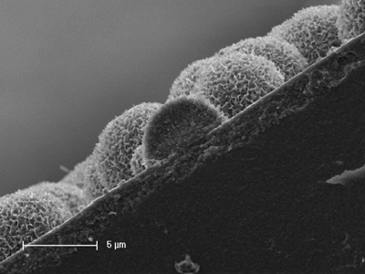 M3_Bild7_REM-Bild der bioaktiven Oberfläche des Verbundwerkstoffes
