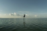 selfportrait_floridabay_s.jpeg
