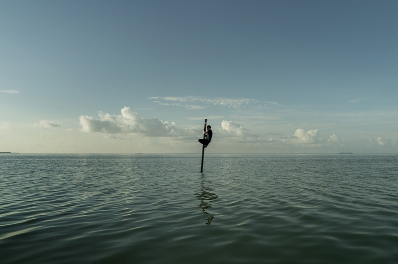 selfportrait_floridabay_s.jpeg
