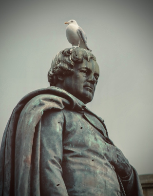 OliverGarganOConnellMonumenttopcloseup1editedbyBRCCBYSA4.0..png