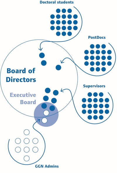 Governance Structure