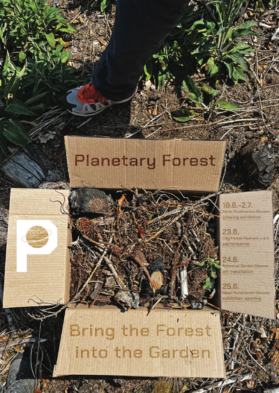 Planetary_Forest_en.png