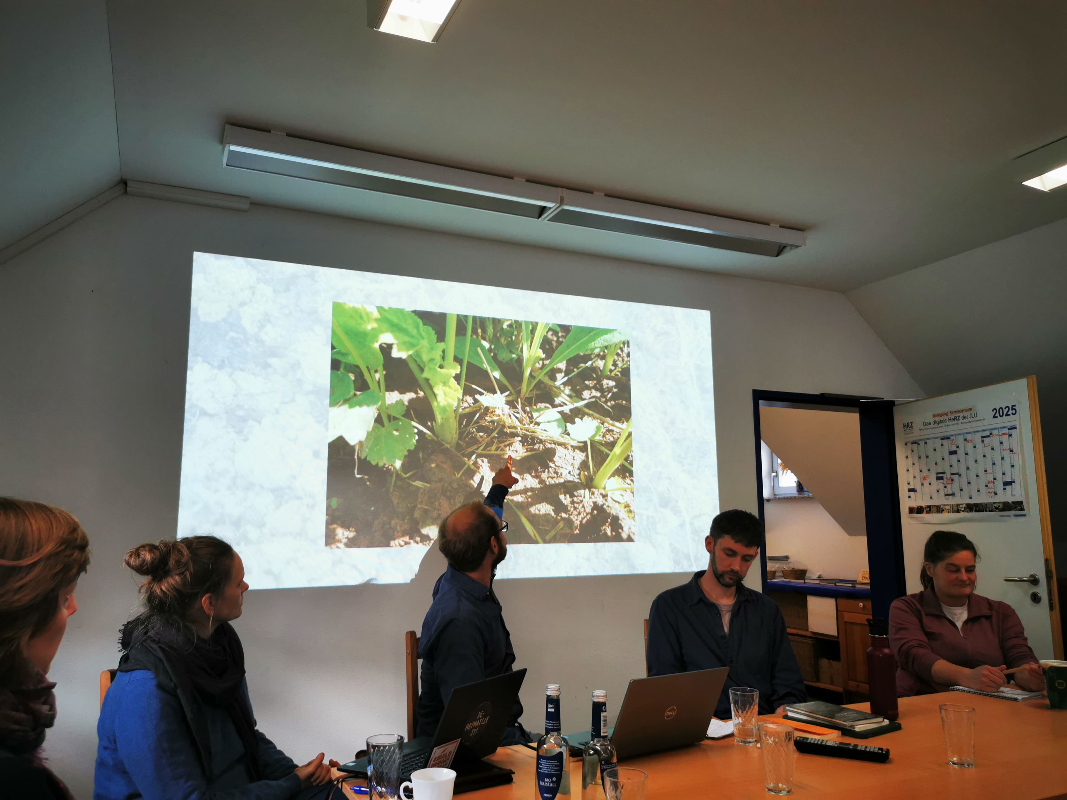 highlighting the role of earthworms in soil © Muthuwahandi.jpg