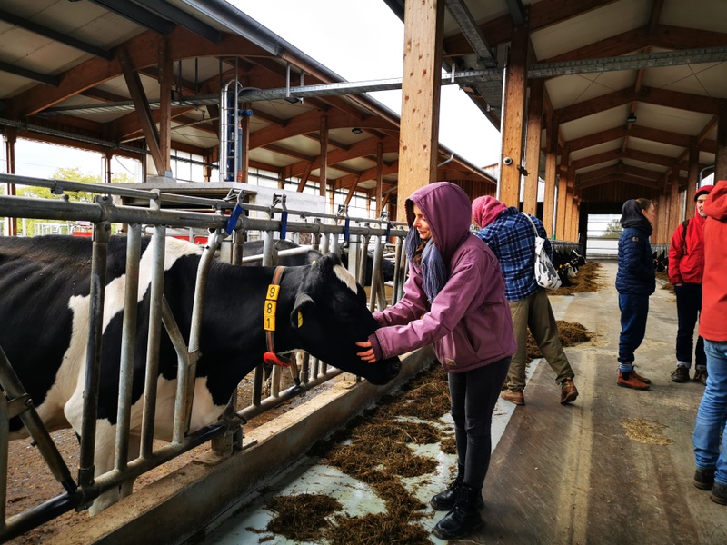 Liza Bauer connecting with dairy cows at the GreenDairy research facility © Muthuwahandi.jpg